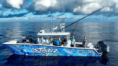 StanzFam Net Worth