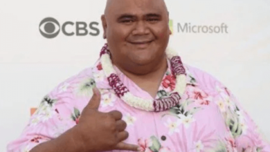 Taylor Wily Net Worth
