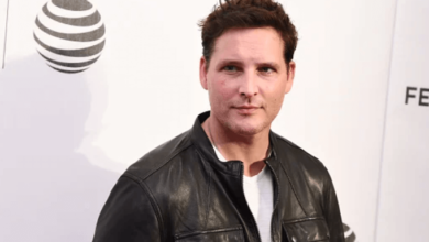Peter Facinelli Net Worth