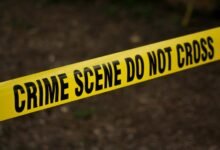 hotline investigation safety security